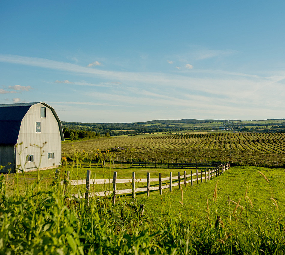 Champ agricole avec une grange et une clôture en bois